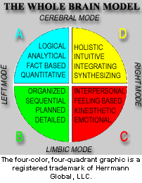 Ned Herrmann's Whole Brain Model