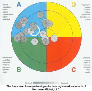 HBDI<sup>®</sup> Preference Map